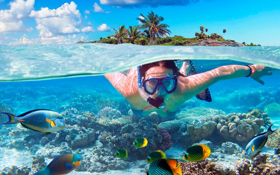 Snorkel en Lombok - Un Paraíso para los Amantes del Buceo