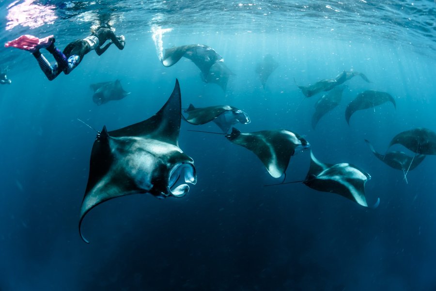 Buceo y snorkel en Lombok: los mejores puntos y qué ver bajo el agua