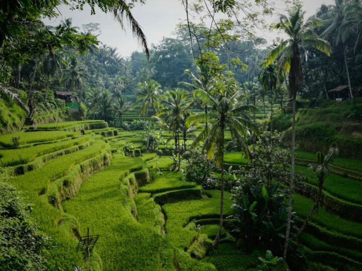 Tour Tribu Sasak — Cultura y Tradición de Lombok