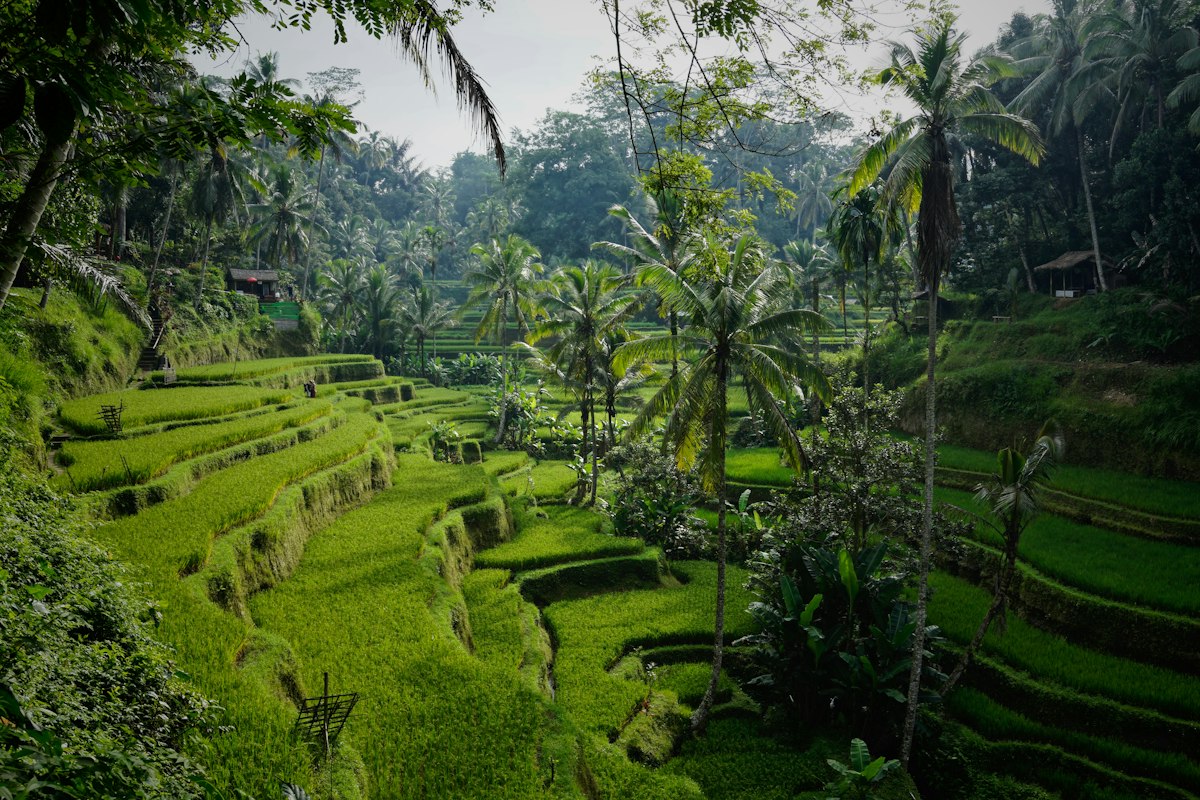 Tour Tribu Sasak — Cultura y Tradición de Lombok